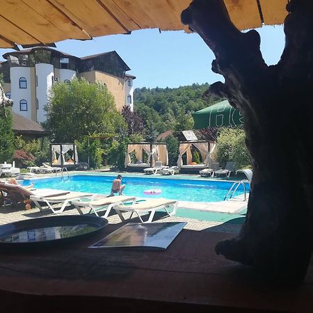Hotel Castelul De Vis Petroszany Zewnętrze zdjęcie