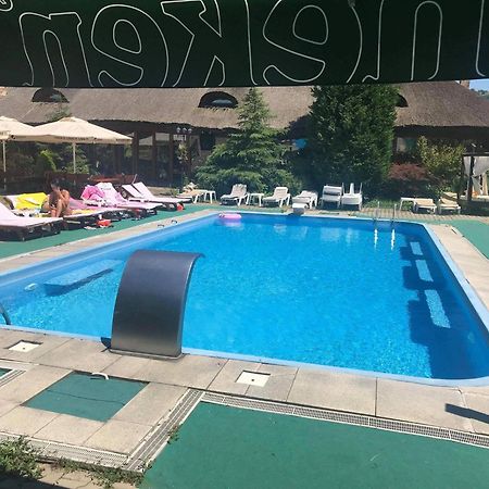 Hotel Castelul De Vis Petroszany Zewnętrze zdjęcie