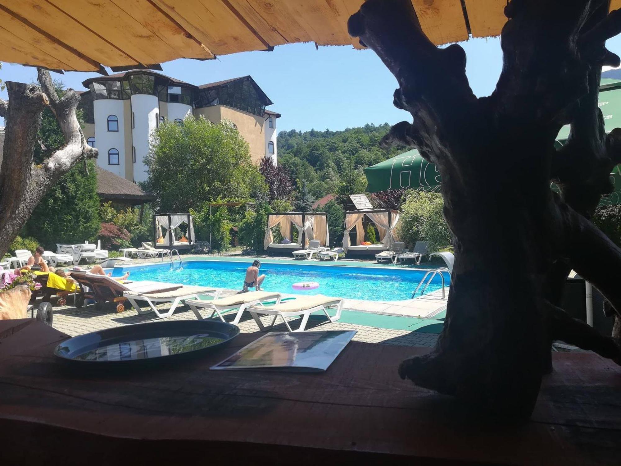 Hotel Castelul De Vis Petroszany Zewnętrze zdjęcie