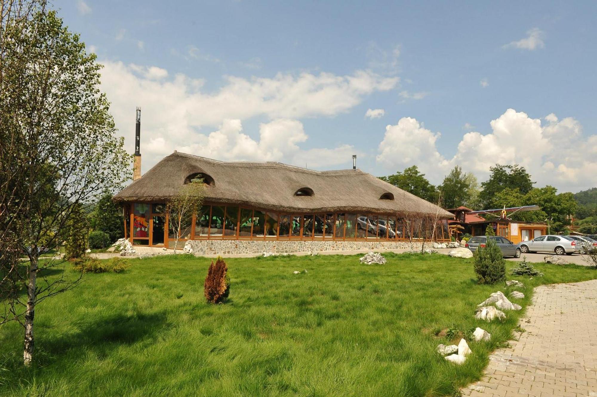 Hotel Castelul De Vis Petroszany Zewnętrze zdjęcie
