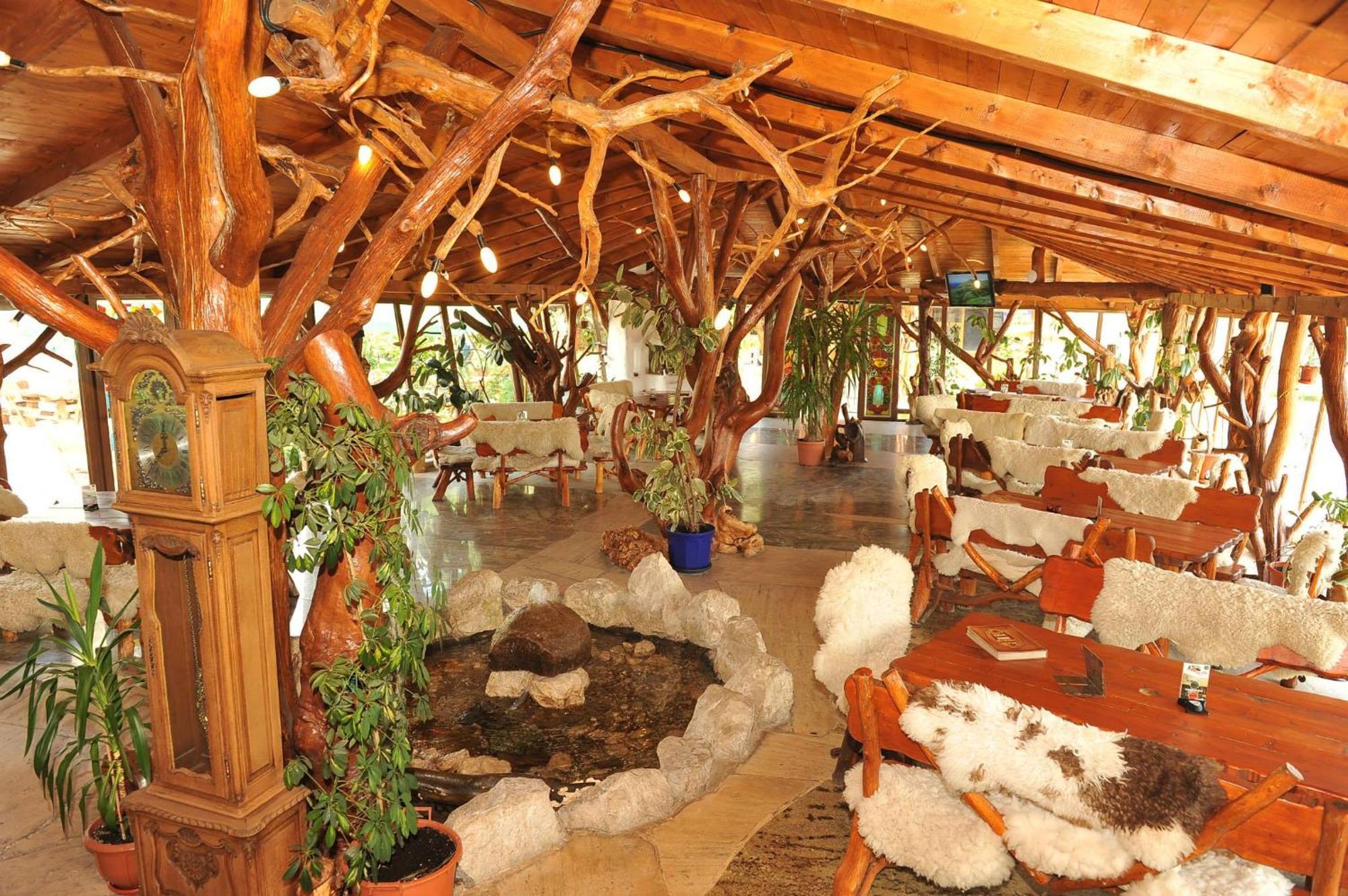 Hotel Castelul De Vis Petroszany Zewnętrze zdjęcie