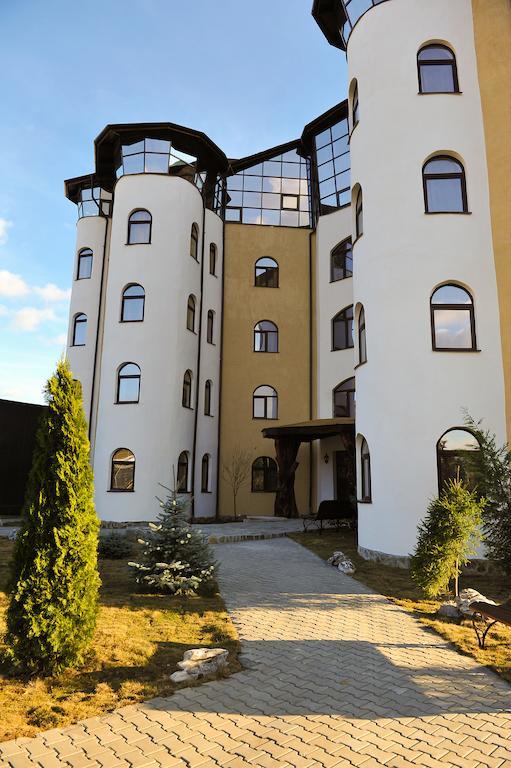 Hotel Castelul De Vis Petroszany Zewnętrze zdjęcie