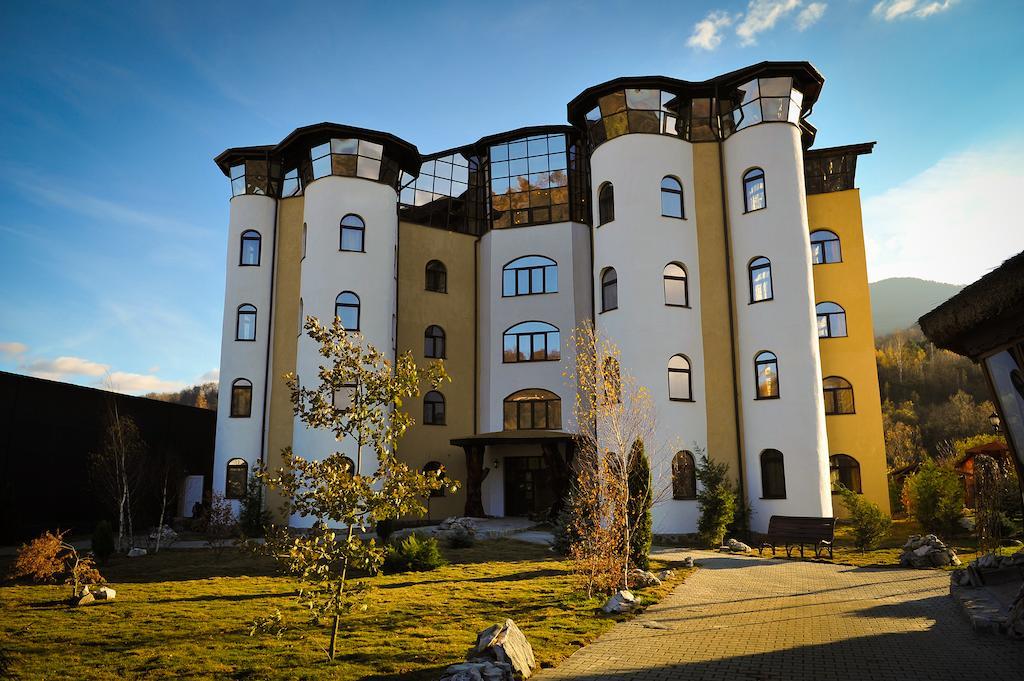 Hotel Castelul De Vis Petroszany Zewnętrze zdjęcie