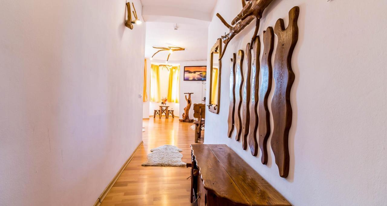 Hotel Castelul De Vis Petroszany Zewnętrze zdjęcie