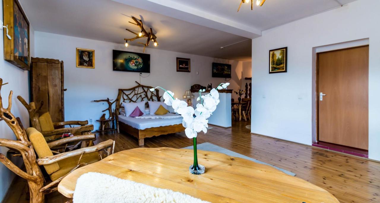 Hotel Castelul De Vis Petroszany Zewnętrze zdjęcie