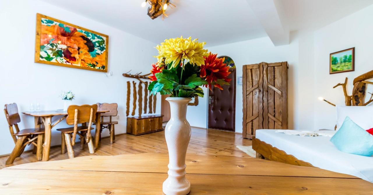 Hotel Castelul De Vis Petroszany Zewnętrze zdjęcie
