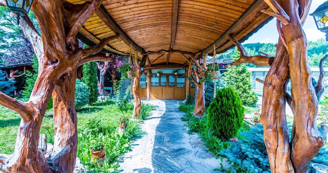 Hotel Castelul De Vis Petroszany Zewnętrze zdjęcie