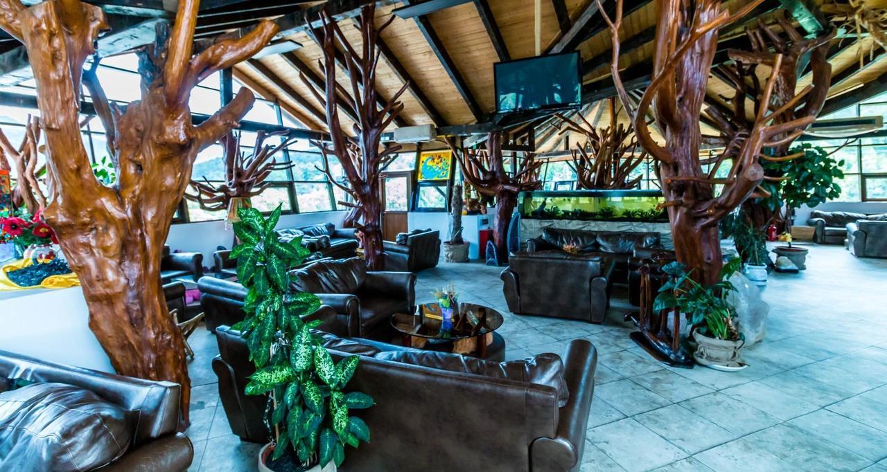 Hotel Castelul De Vis Petroszany Zewnętrze zdjęcie