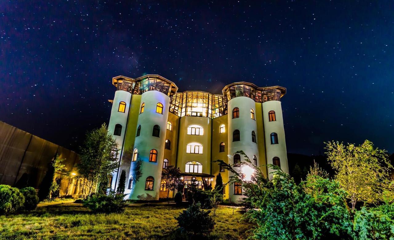 Hotel Castelul De Vis Petroszany Zewnętrze zdjęcie