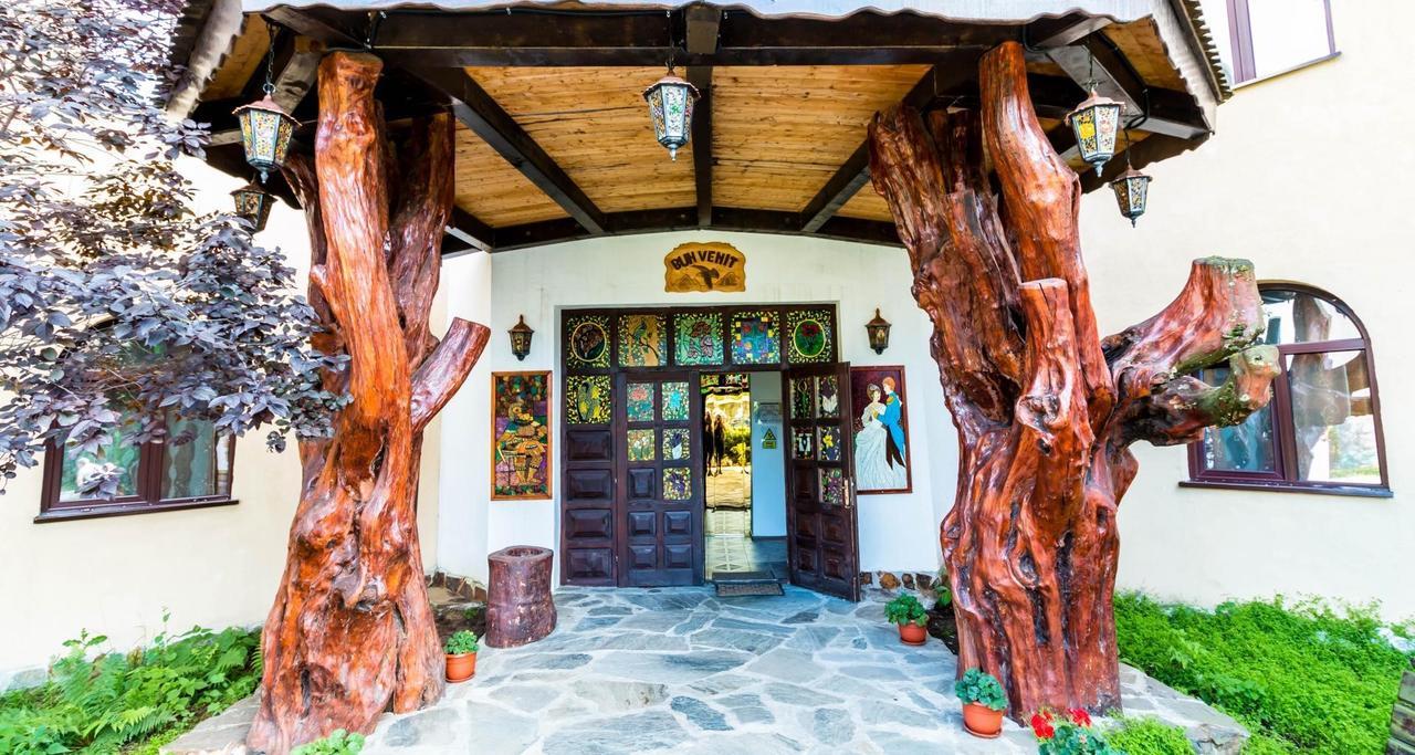 Hotel Castelul De Vis Petroszany Zewnętrze zdjęcie