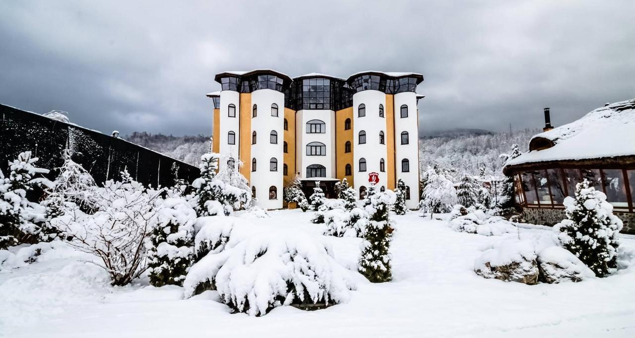 Hotel Castelul De Vis Petroszany Zewnętrze zdjęcie