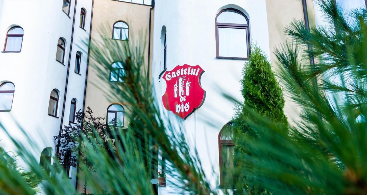 Hotel Castelul De Vis Petroszany Zewnętrze zdjęcie